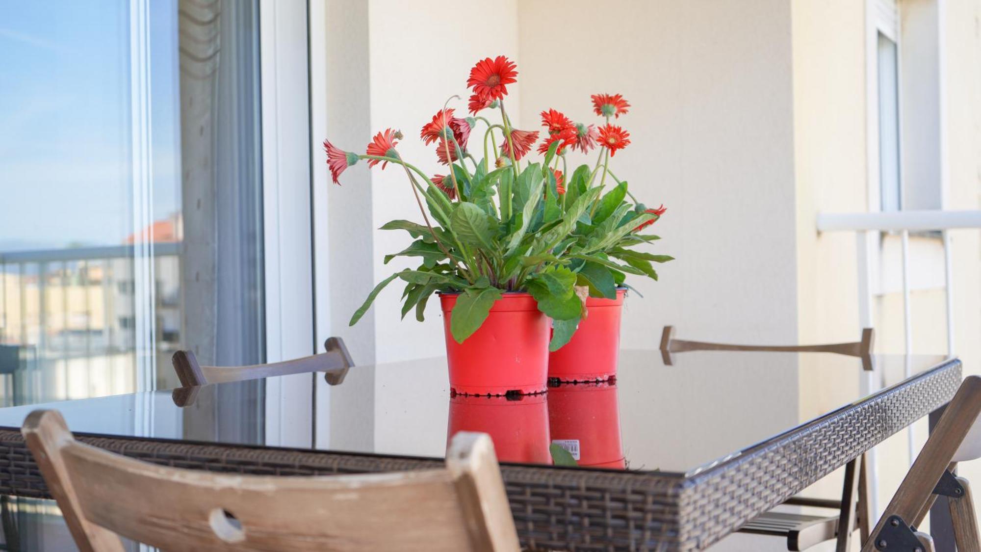 Apartament Lo Cor Del Delta Sant Jaume d'Enveja Esterno foto