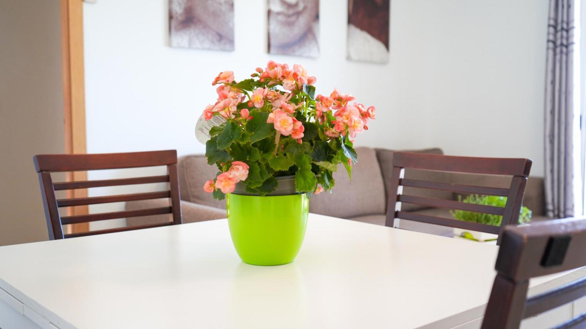 Apartament Lo Cor Del Delta Sant Jaume d'Enveja Esterno foto