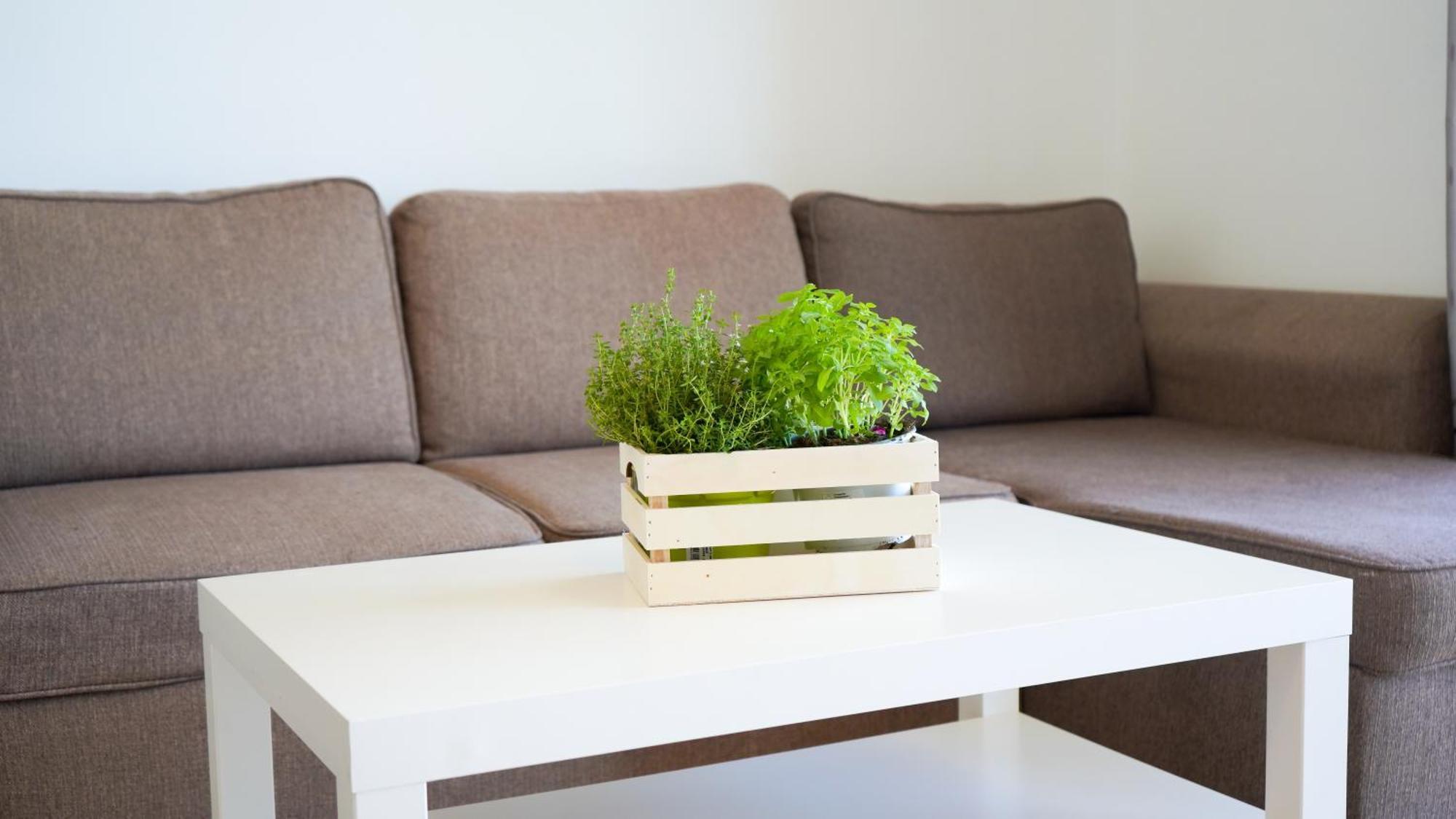 Apartament Lo Cor Del Delta Sant Jaume d'Enveja Esterno foto