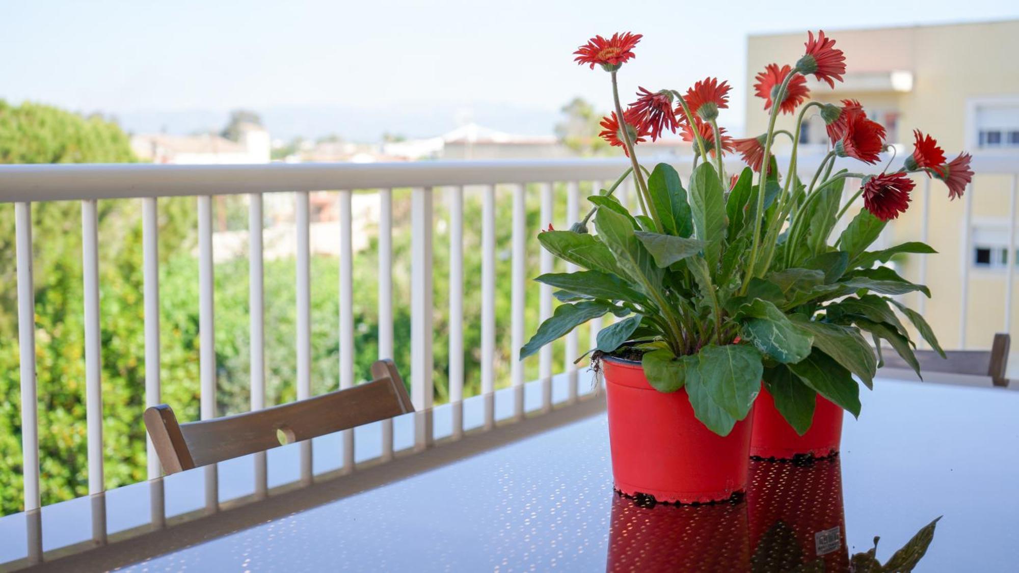 Apartament Lo Cor Del Delta Sant Jaume d'Enveja Esterno foto